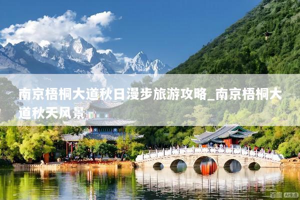 南京梧桐大道秋日漫步旅游攻略_南京梧桐大道秋天风景