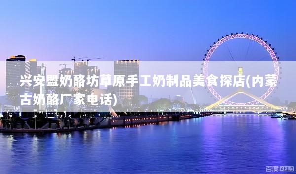 兴安盟奶酪坊草原手工奶制品美食探店(内蒙古奶酪厂家电话)