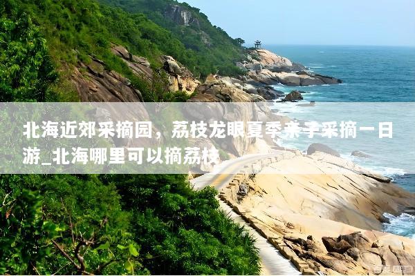 北海近郊采摘园，荔枝龙眼夏季亲子采摘一日游_北海哪里可以摘荔枝