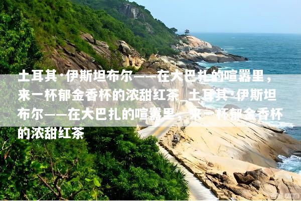 土耳其·伊斯坦布尔——在大巴扎的喧嚣里，来一杯郁金香杯的浓甜红茶_土耳其·伊斯坦布尔——在大巴扎的喧嚣里，来一杯郁金香杯的浓甜红茶
