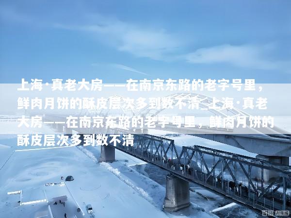 上海·真老大房——在南京东路的老字号里，鲜肉月饼的酥皮层次多到数不清_上海·真老大房——在南京东路的老字号里，鲜肉月饼的酥皮层次多到数不清