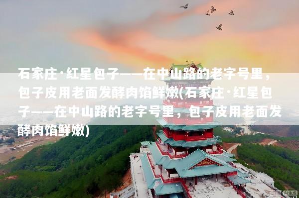 石家庄·红星包子——在中山路的老字号里，包子皮用老面发酵肉馅鲜嫩(石家庄·红星包子——在中山路的老字号里，包子皮用老面发酵肉馅鲜嫩)