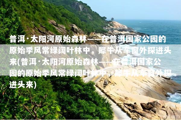 普洱·太阳河原始森林——在普洱国家公园的原始季风常绿阔叶林中，犀牛从车窗外探进头来(普洱·太阳河原始森林——在普洱国家公园的原始季风常绿阔叶林中，犀牛从车窗外探进头来)