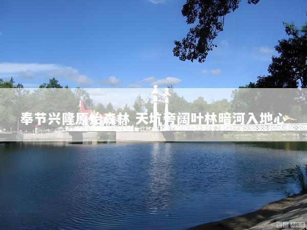 奉节兴隆原始森林 天坑旁阔叶林暗河入地心