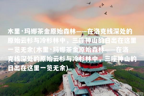 木里·玛娜茶金原始森林——在洛克线深处的原始云杉与冷杉林中，三座神山的日出在这里一览无余(木里·玛娜茶金原始森林——在洛克线深处的原始云杉与冷杉林中，三座神山的日出在这里一览无余)