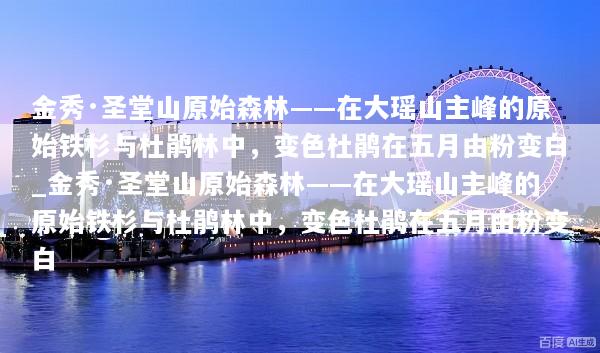 金秀·圣堂山原始森林——在大瑶山主峰的原始铁杉与杜鹃林中，变色杜鹃在五月由粉变白_金秀·圣堂山原始森林——在大瑶山主峰的原始铁杉与杜鹃林中，变色杜鹃在五月由粉变白