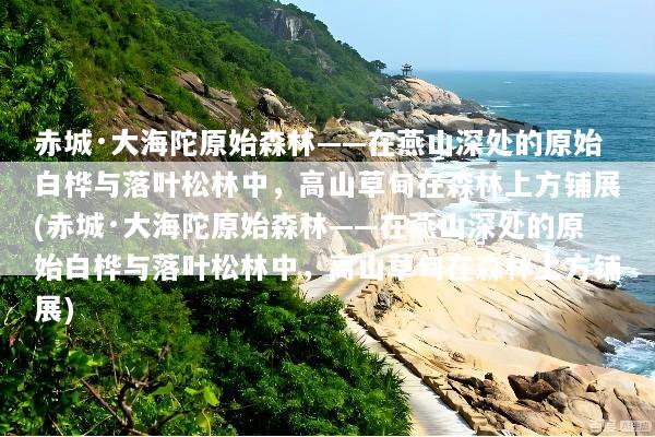 赤城·大海陀原始森林——在燕山深处的原始白桦与落叶松林中，高山草甸在森林上方铺展(赤城·大海陀原始森林——在燕山深处的原始白桦与落叶松林中，高山草甸在森林上方铺展)