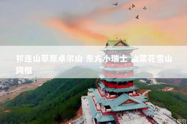 祁连山草原卓尔山 东方小瑞士 油菜花雪山同框