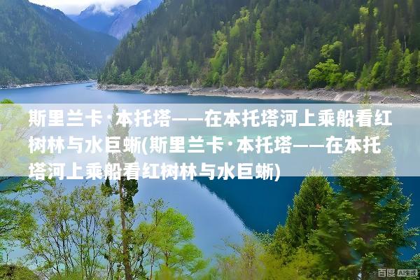 文章配图